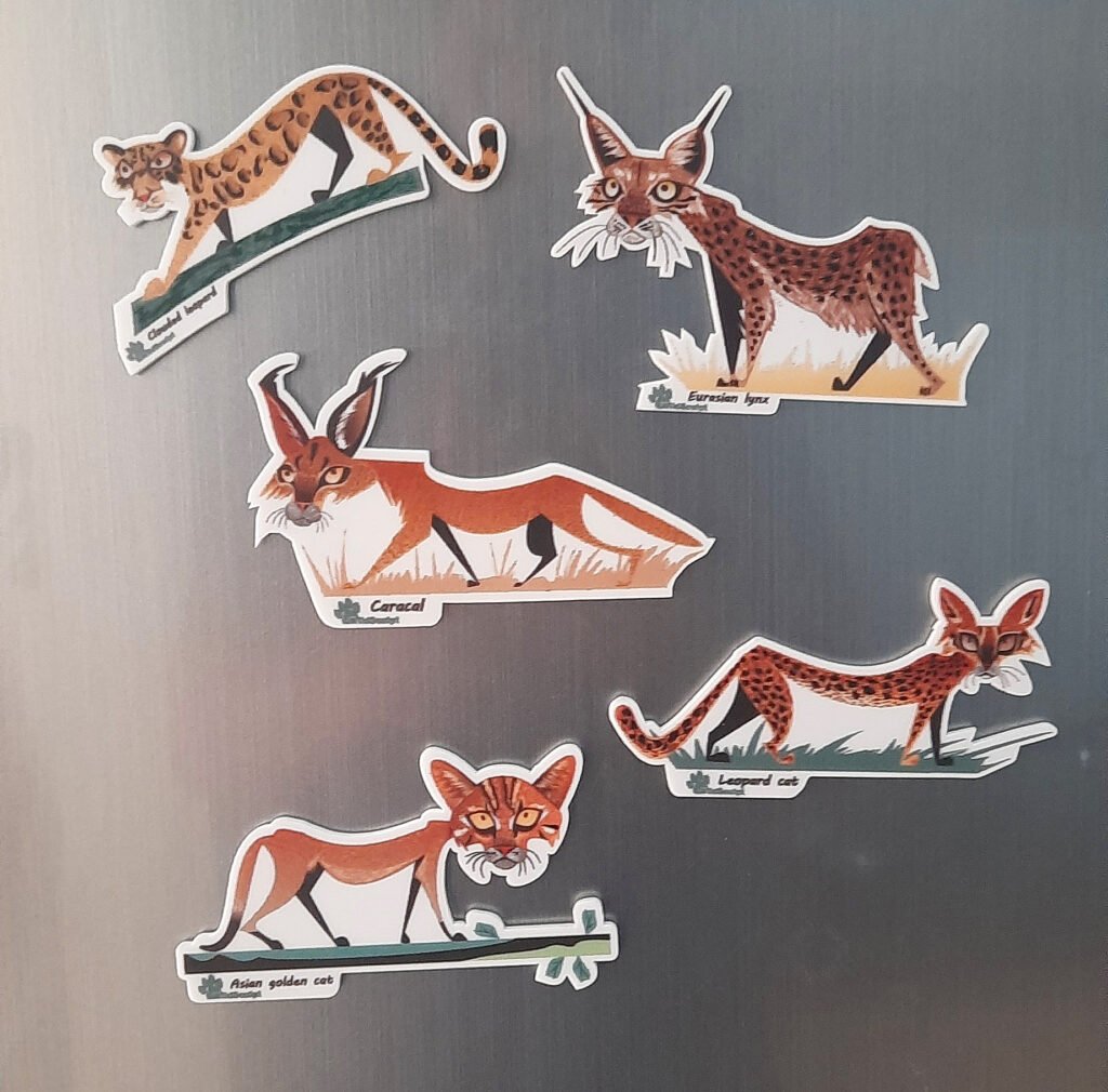 Fridge Magnet of Indian Wildcat Set 1 by Indiwild