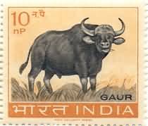 Wild Life Preservation - Gaur (Wild Ox). Wild Animal, Indian Bison, Bos gaurus, Wild Cattle, 10 nP.  (Hinged/Gum washed)