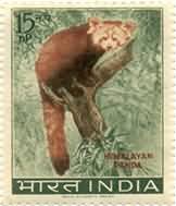 Wild Life Preservation - Himalayan Panda. Wild Animal, Himalayan Panda, Ailurus fulgens, Lesser Panda, Red Cat-Bear, Red Panda, 15 nP. (Hinged/Gum washed)