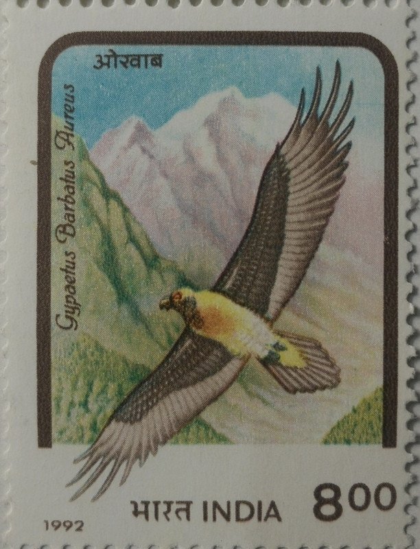 Birds of Prey. Lammergeier (Hinged/Gum washed)