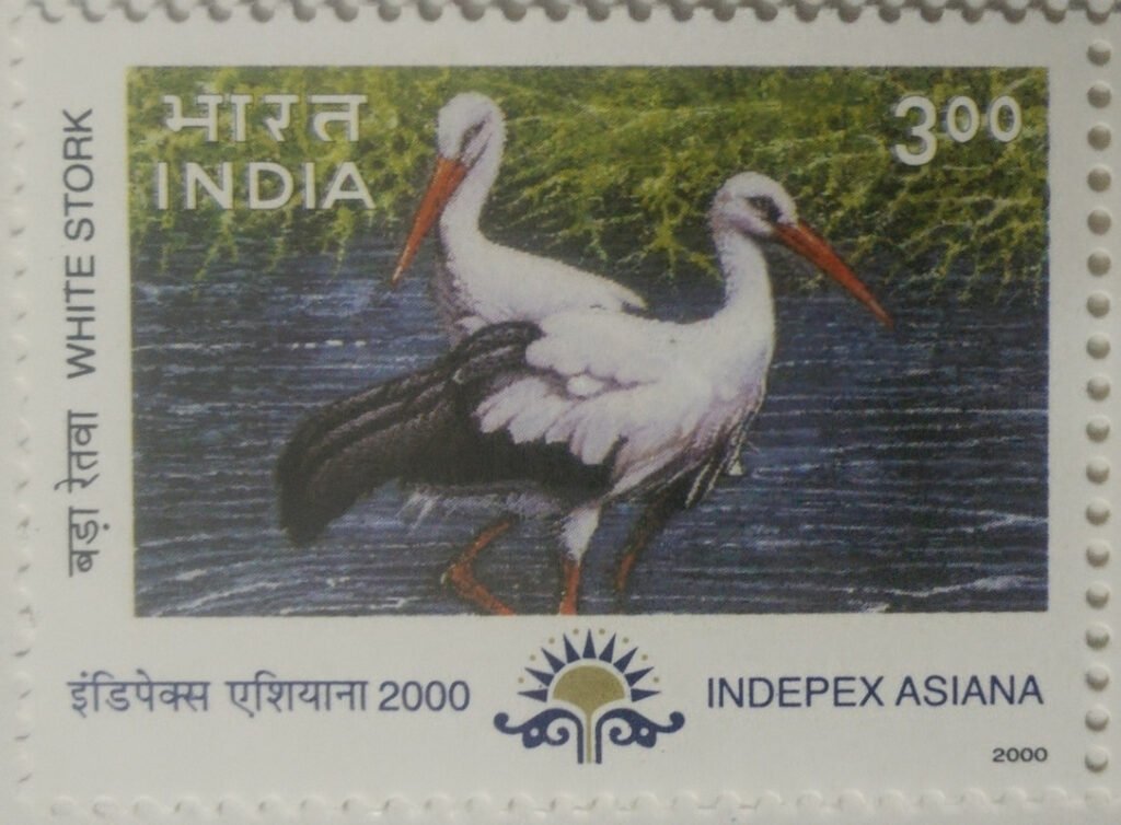 White stork Migratory Birds Thematic Indepex Asiana 2000 Rs.3 (Hinged/Gum washed)