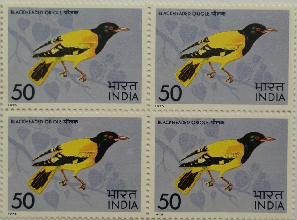 Black Headed Oriole Black Headed Oriole, Oriolus larvatus, Passerine, 50 P. (Block of 4)