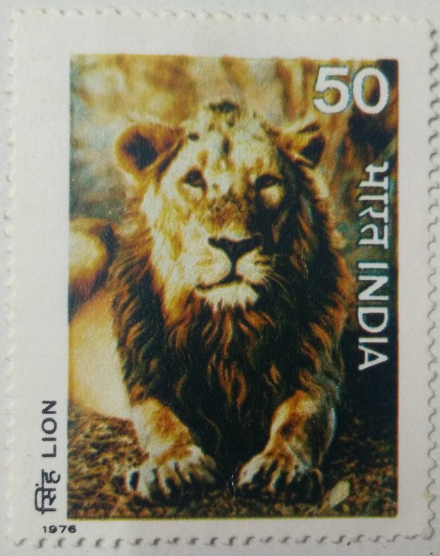 Wild Life - Lion. Wild Life, Lion, Panthera Leo, Big Cat, 50 P.- MNH