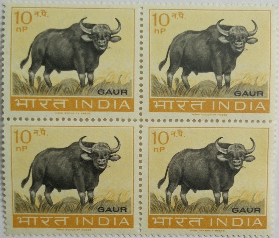 63 Wild Life Preservation - Gaur (Wild Ox). Wild Animal, Indian Bison, Bos gaurus, Wild Cattle, 10 nP
