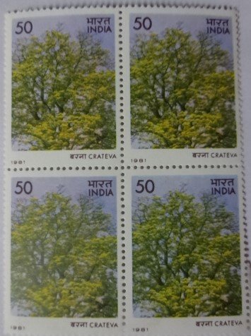 Flowering Trees - Crateva nurvala . Flower, Tree, Flame-of-The Forest, Spathodea campanulata, Fountain Tree, 35 P