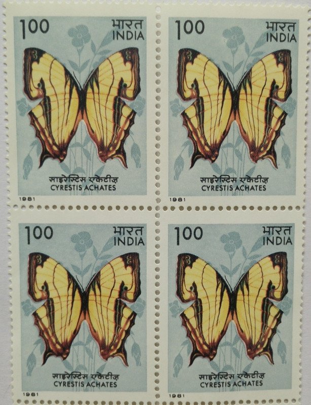 Butterflies - Cyrestis Achates. Butterfly, Cyrestis achates, Nymphalidae,Rs. 1