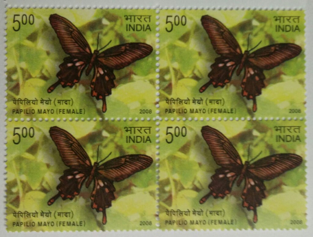 Endemic Butterflies of Andaman And Nicobar; Andaman mormon