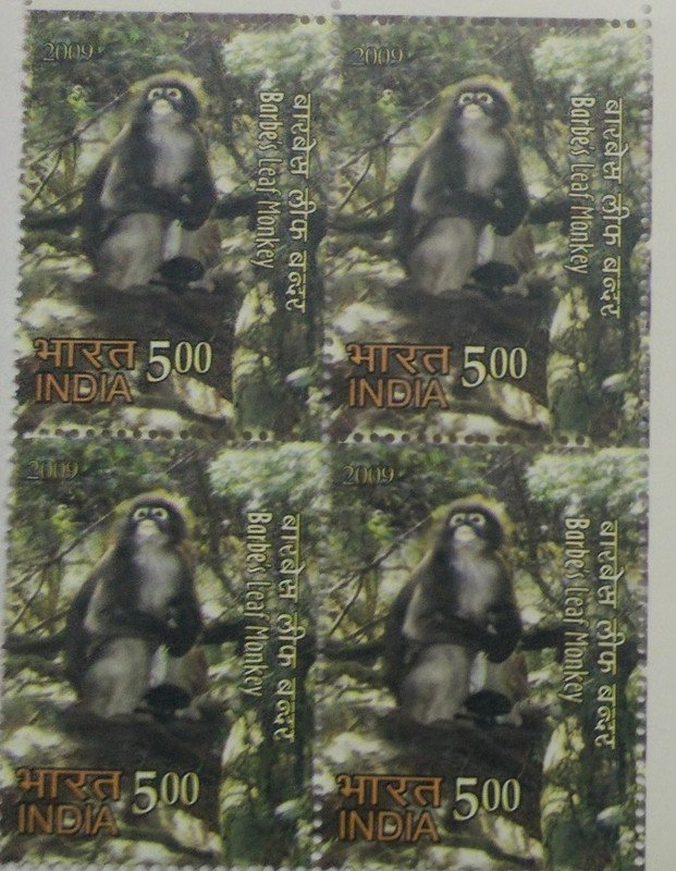 BARBES Leaf Monkey Thematic Barbes Leaf Monkey Rs. 5