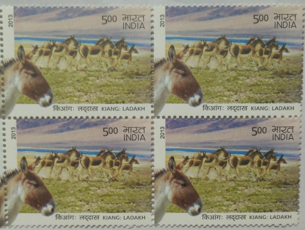 Wild Ass of Kutch & Ladakh - Kiang : Ladakh Kiang, Equus Kiang, Wild Ass Rs. 5