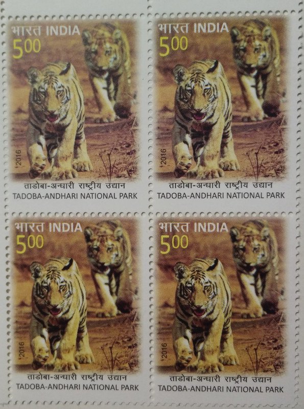 Tadoba Andhari National park