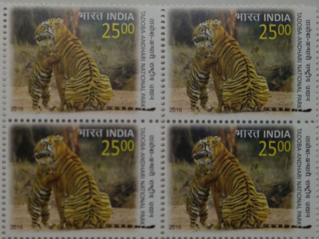 Tadoba Andhari National park
