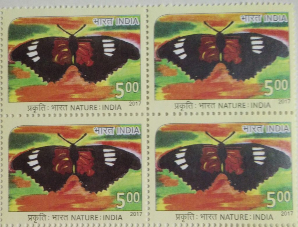 Nature of India; Butterfly