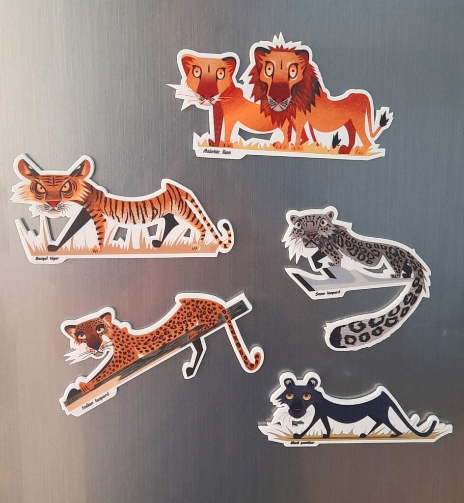 Fridge Magnet of Indian Bigcats Set 3 by Indiwild