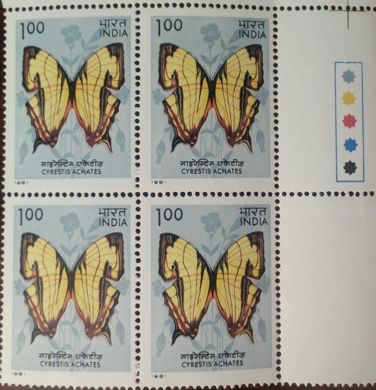 Butterflies - Cyrestis Achates. Butterfly, Cyrestis achates, Nymphalidae,Rs. 1