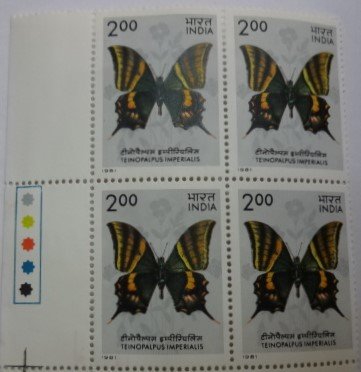 Teinopalpus imperialis Kaiser-e-Hind
