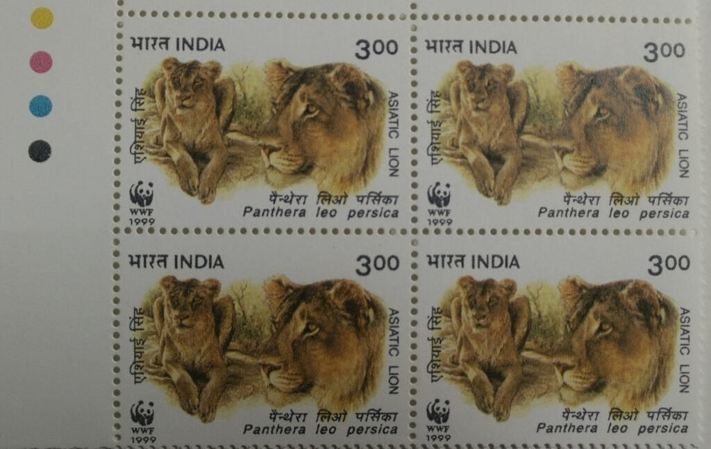 Lionesses
