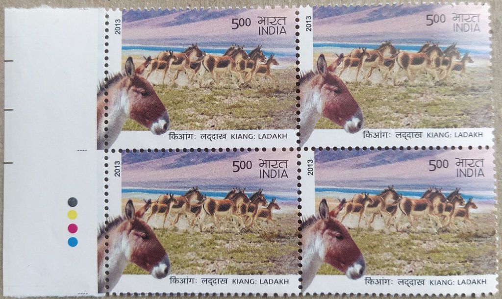 Wild Ass of Kutch & Ladakh - Kiang : Ladakh Kiang, Equus Kiang, Wild Ass Rs. 5