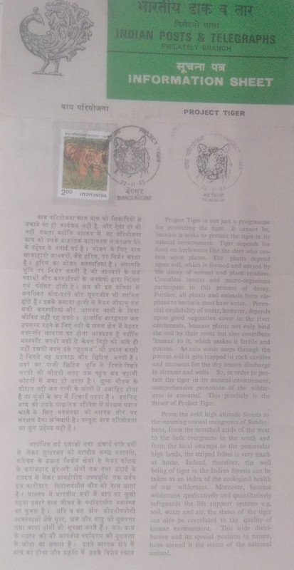 Project Tiger. Tiger, Wild Animal, Panthera Tigris Tigris, Protection Project,(SBR)