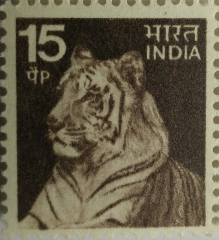 5th Series Tiger -15p(Df)