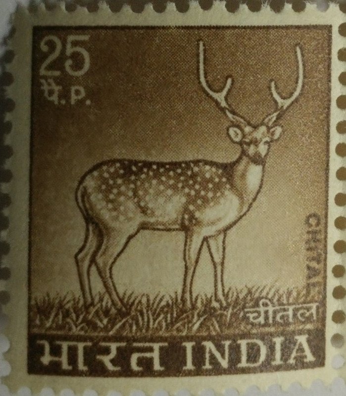 5th Series Chittal -25p (Df)