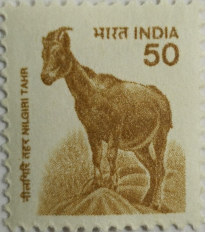 9th Series Nilgiri Tahr -50(Df)