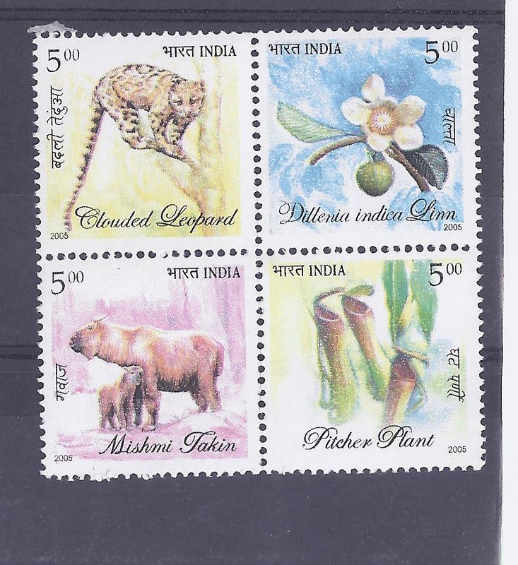 Flora & Fauna  (PST)