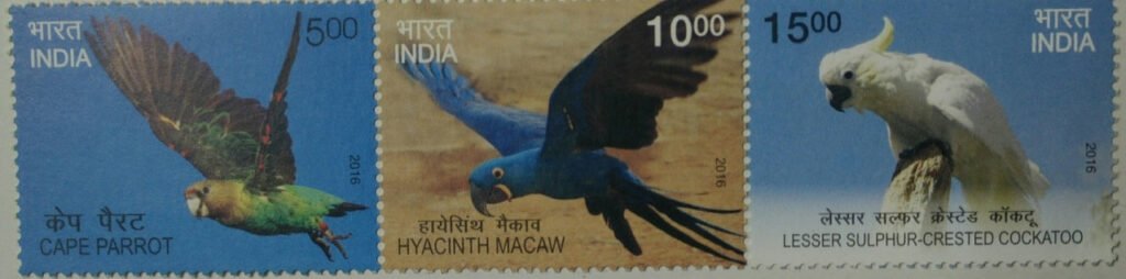 Exotic Birds (Horizontal Strip of 3) (PST)