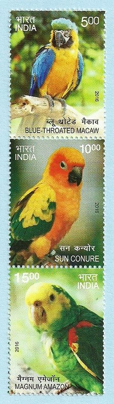 Exotic Birds (Vertical Strip of 3) (PST)