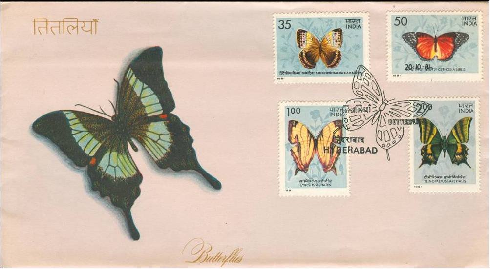 First Day Cover 20 Oct. '81 Indian Butterflies.(FDC-1981)