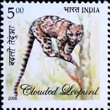 Flora & Fauna of North East India, Neofelis nebulosa, Clouded Taxicolor- MNH