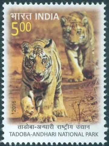 Tadoba Andhari National park - MNH