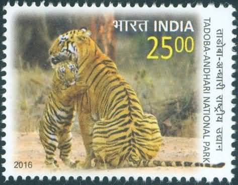 Tadoba Andhari National park - MNH