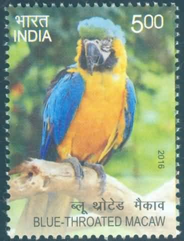 Exotic Birds; Blue Throated Macaw - MNH