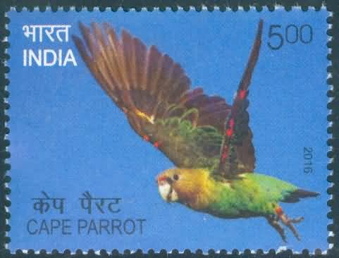 Exotic Birds;  Cape parrot - MNH