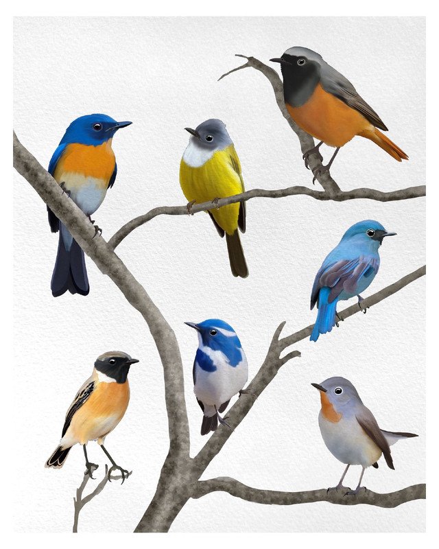 Flycatchers and Stonechat Bird Poster by sambaarwadi