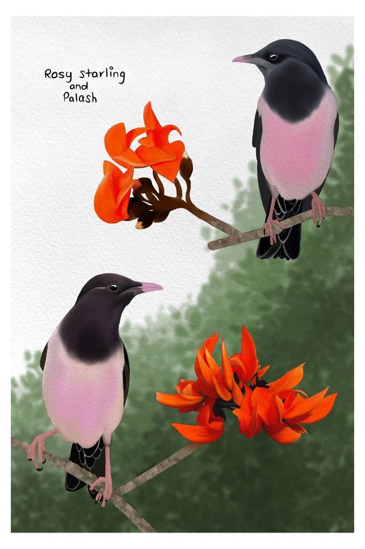 Rosy Sterling and Palash Poster by sambaarwadi