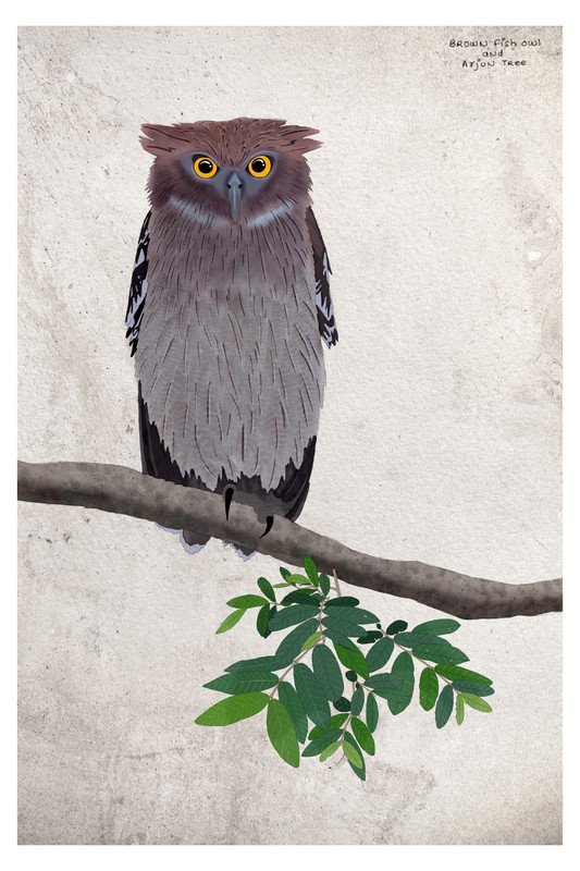 Brown Fish Owl by sambaarwadi