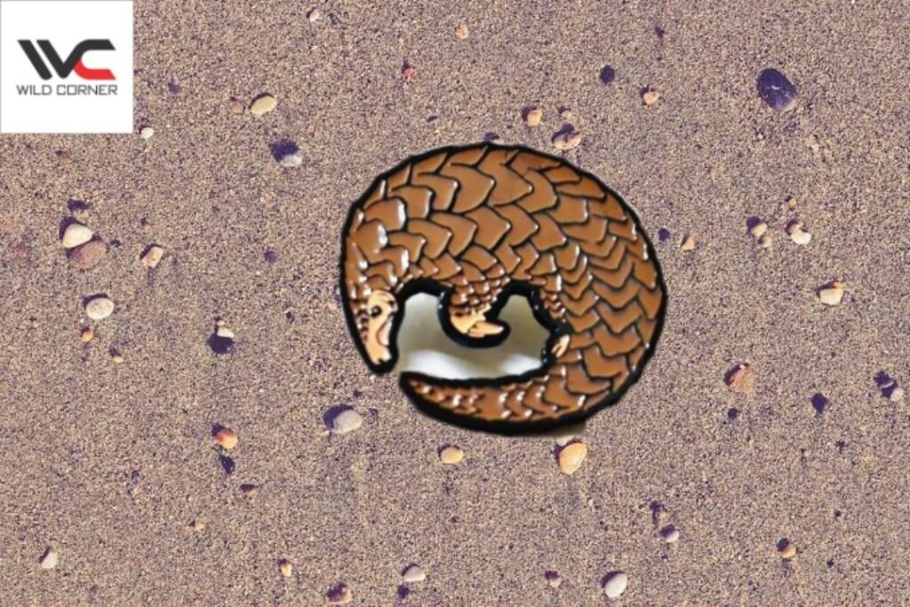 Indian Pangolin Lapel Pin by Wildcorner