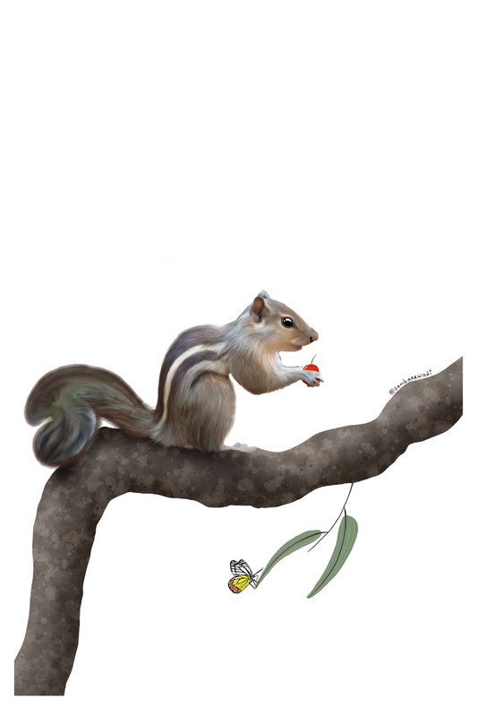 Squirrel and butterfly by sambaarwadi