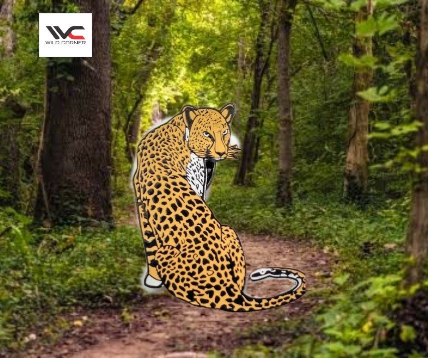 Leopard Standing Lapel Pin / Brooche by Wildcorner