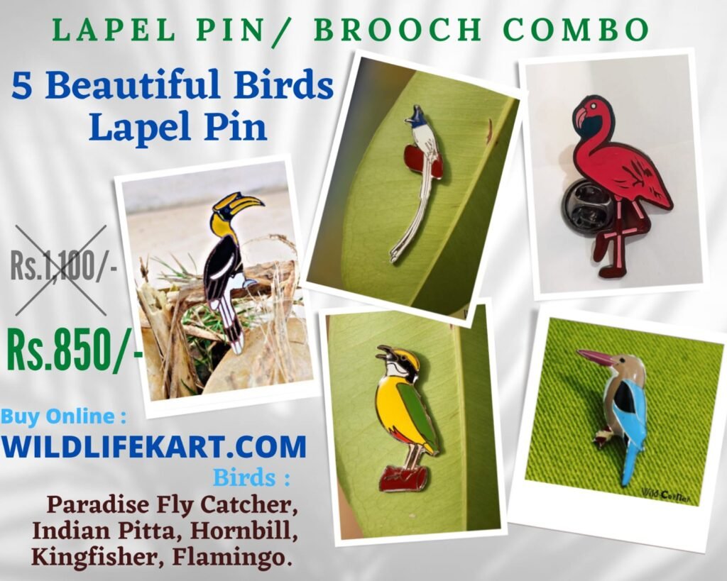 5 Birds Lapel Pins Combo at discounted Prise - Wildcorner