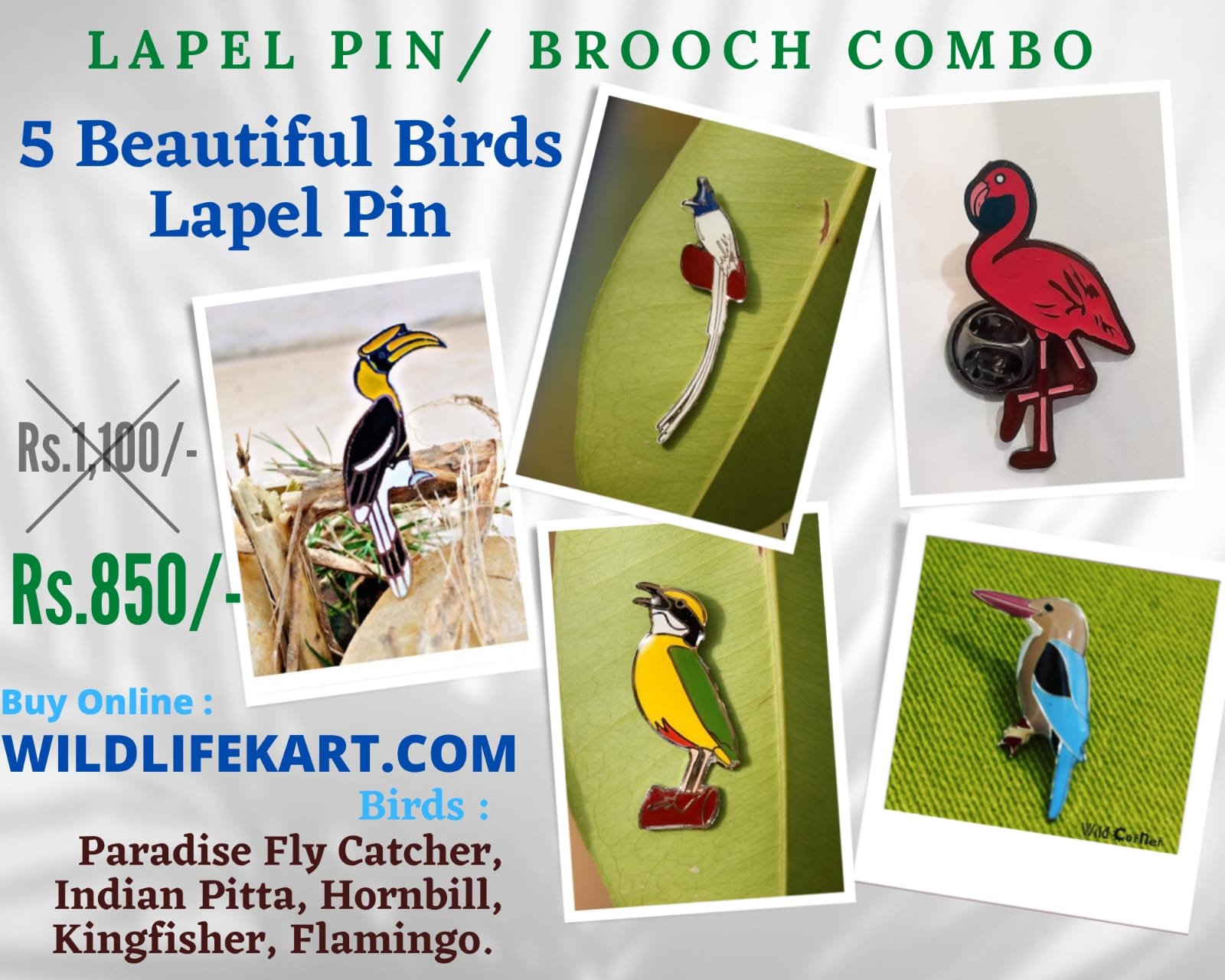 5 Birds Lapel Pins Combo at discounted Prise - Wildcorner