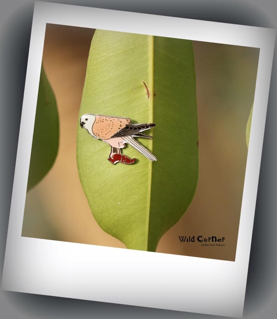 Common Kestral Lapel Pin by Wildcorner