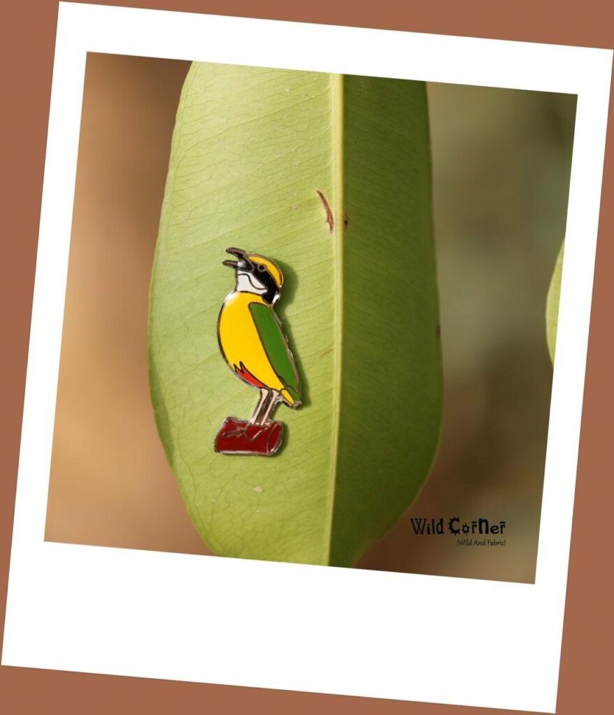 Indian Pitta Lapel Pin by Wildcorner
